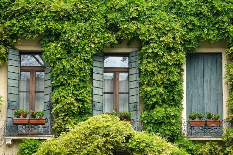 How Much Does It Cost to Add a Window to Your House?